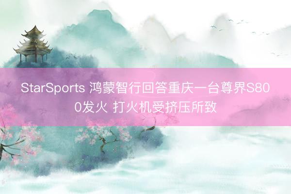StarSports 鸿蒙智行回答重庆一台尊界S800发火 打火机受挤压所致