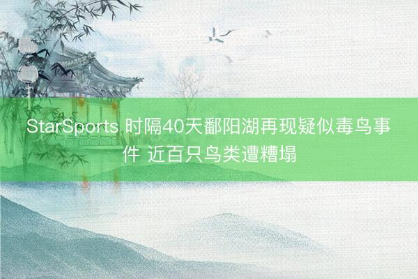StarSports 时隔40天鄱阳湖再现疑似毒鸟事件 近百只鸟类遭糟塌