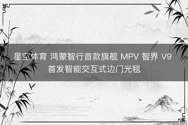 星空体育 鸿蒙智行首款旗舰 MPV 智界 V9 首发智能交互式边门光毯