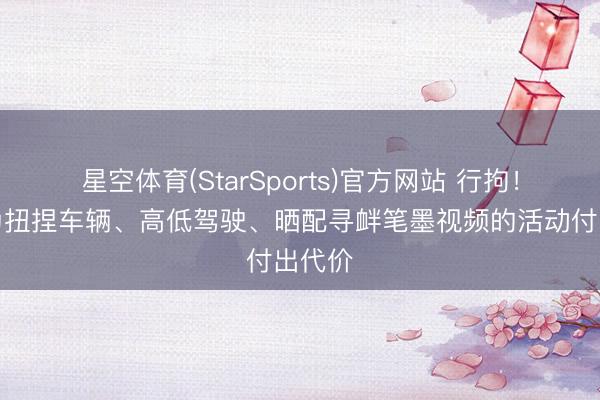 星空体育(StarSports)官方网站 行拘！须眉为扭捏车辆、高低驾驶、晒配寻衅笔墨视频的活动付出代价